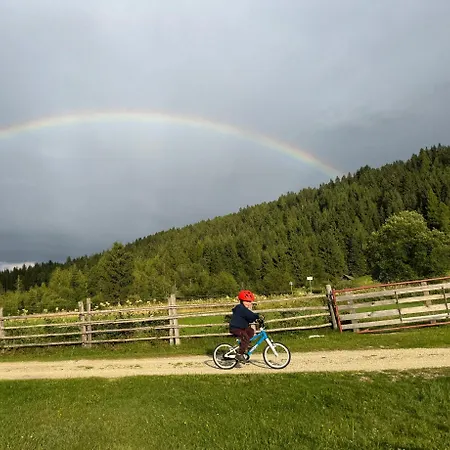 公寓 Heimathaus Dengg - - Sommerfrische In Den Alpen *